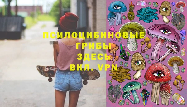 таблы Новодвинск