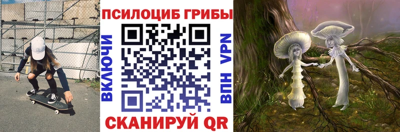 Псилоцибиновые грибы MAGIC MUSHROOMS  как найти закладки  мега маркетплейс  Энем 