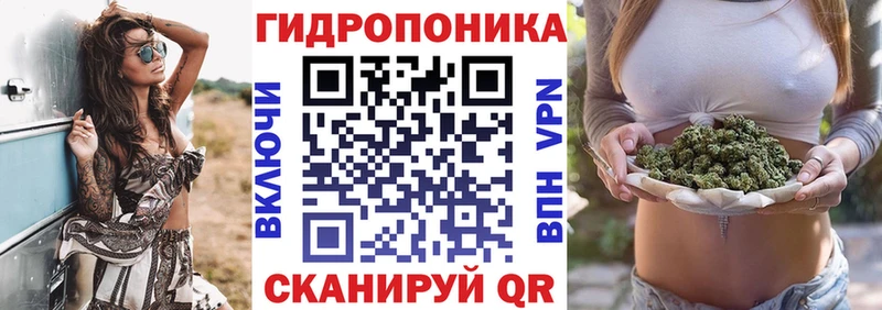 omg ССЫЛКА  Энем  Бошки Шишки индика 